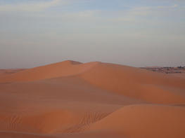 Dune de Sidi Khouiled, Ouargla (Algérie),  © Cirad L. Julien
